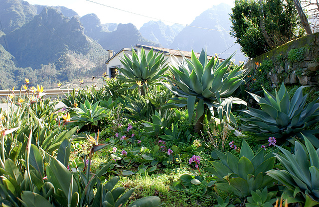 Tour: Ribeira Brava - Sao Vicente.  ©UdoSm