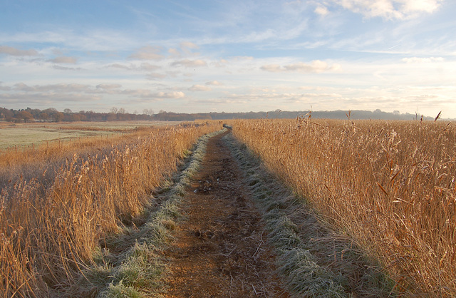 Snape Maltings 127