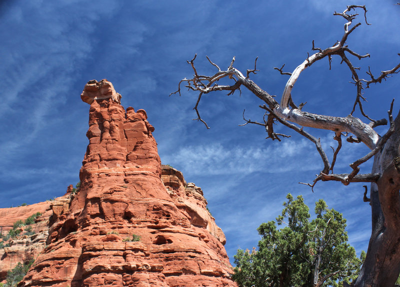 Red rocks, Boynton Canyon Trail