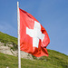 Swiss Flag