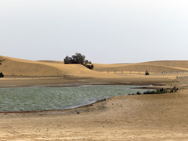 Dunas de Maspalomas