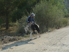 Voskopoja- Man on a Donkey #2