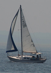 Sailboat