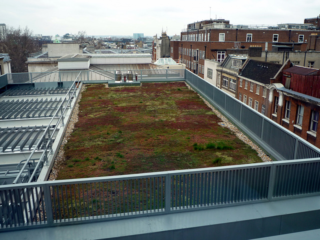'Green' Roof