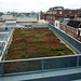 'Green' Roof