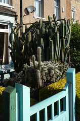 Cactus Garden, Dunstans Road