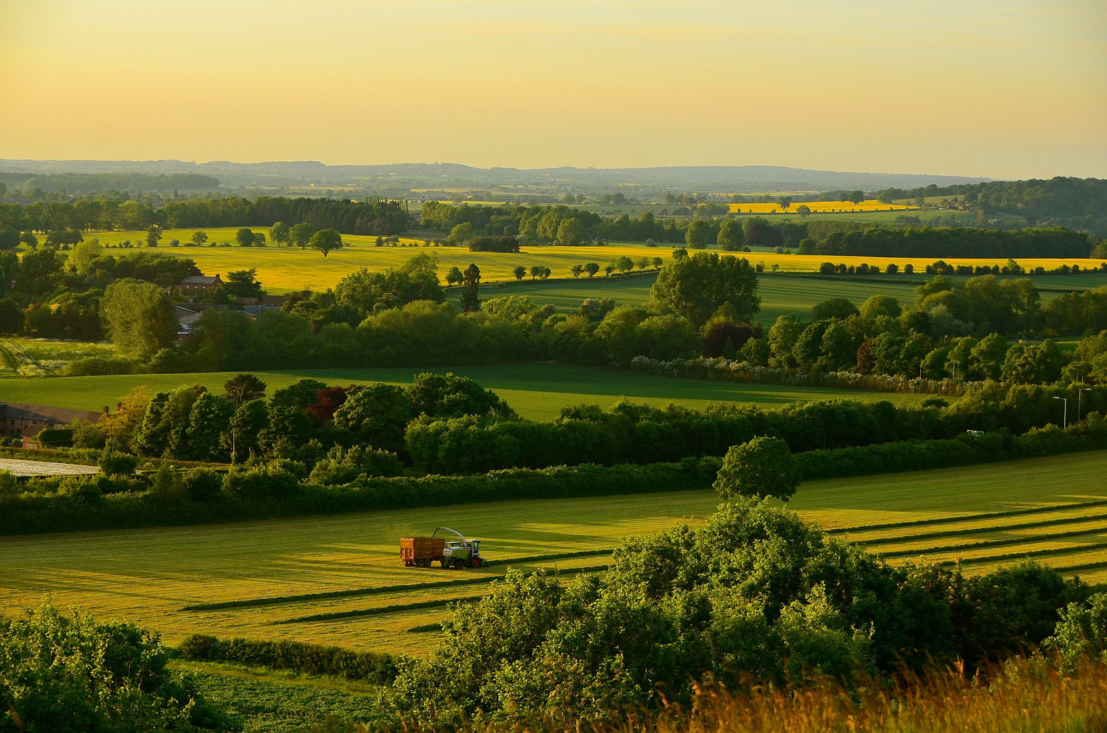 Shropshire fields