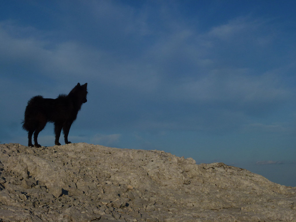 20140722 Fee Mt Baudille (37) al