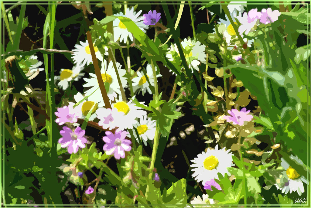 Painted meadow in summer. ©UdoSm