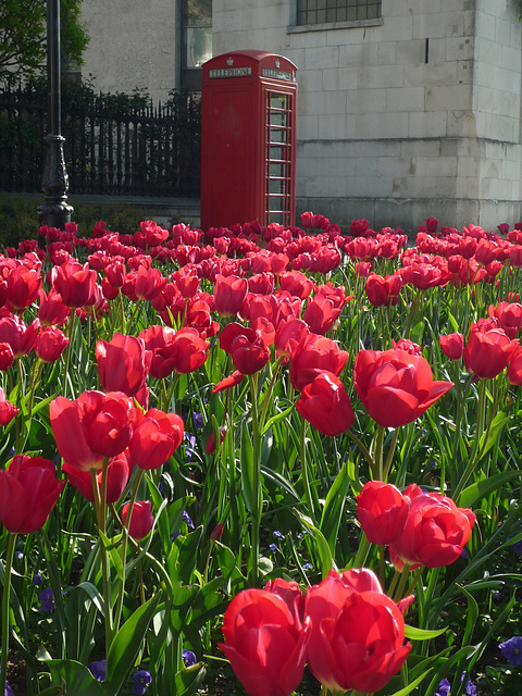 tuliphonebox