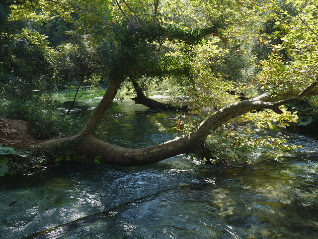 River Bistrica near the Blue Eye Spring