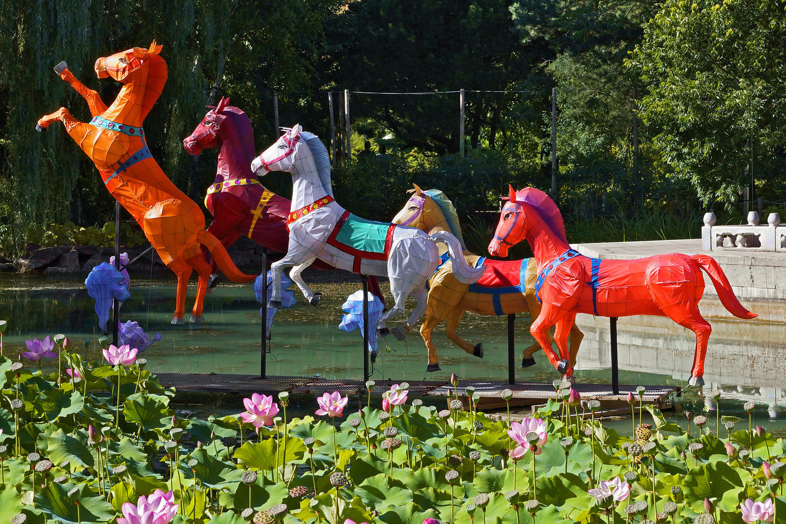 Paper Riders in the Sky – Botanical Garden, Montréal, Québec