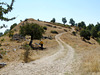 Antigonea- The Track to the Archaeological Remains