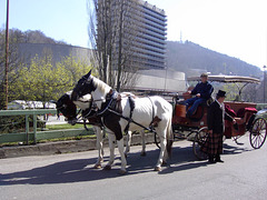 Karlsbad - Einladung zur Kutschfahrt