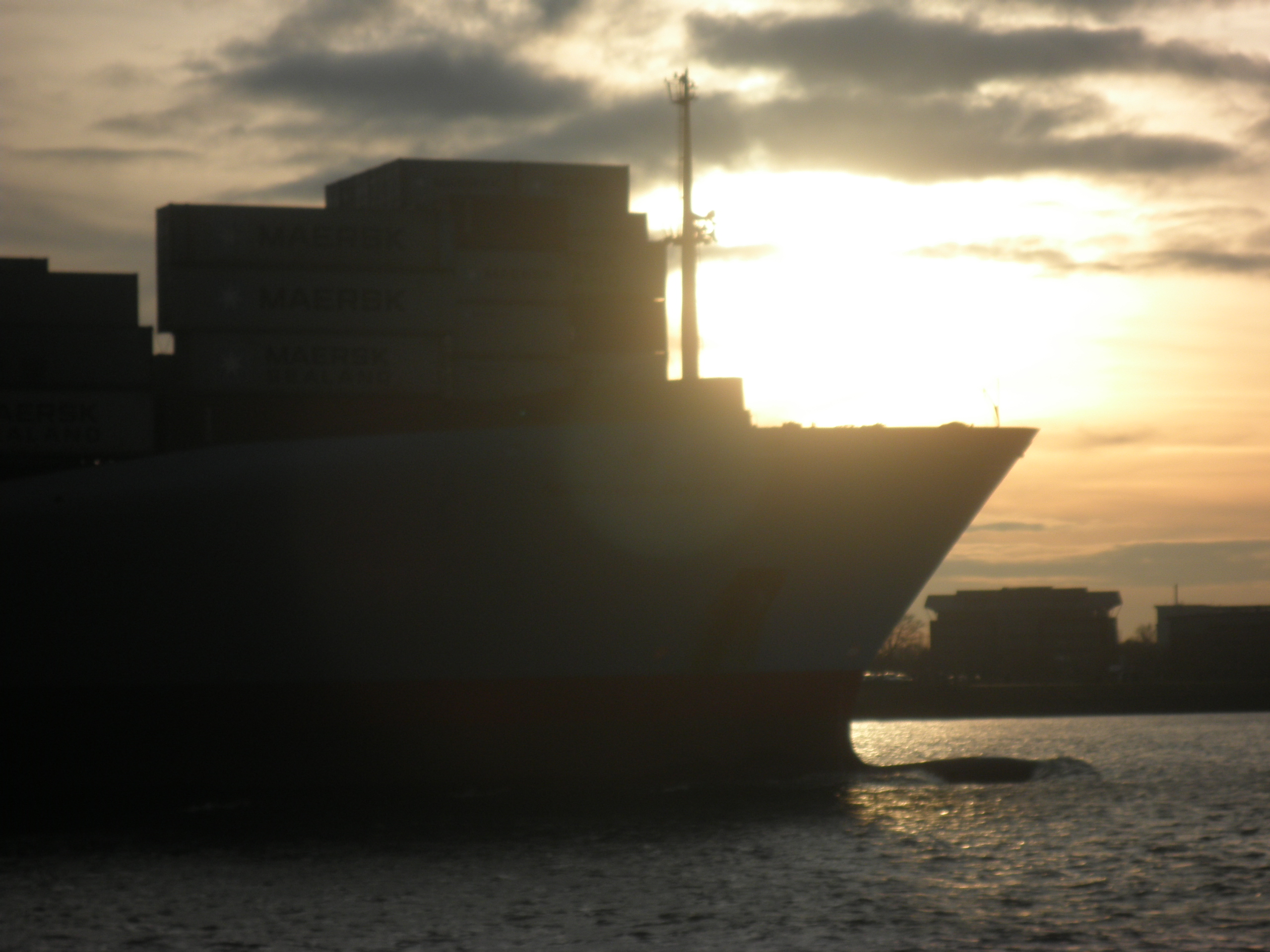 Bug und Container in der Abendsonne