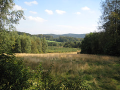 Lauscheweg