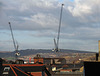 Even more cranes