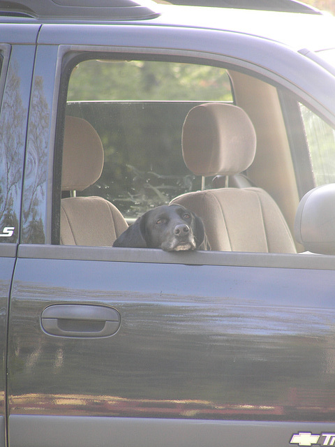 Ridin' buddy.