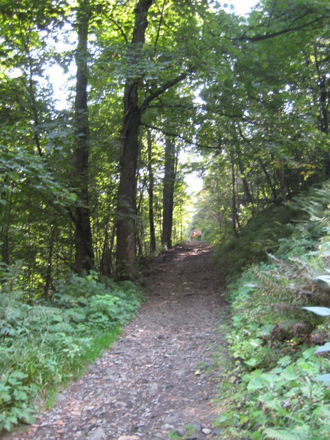 Waltersdorf - Lauscheweg