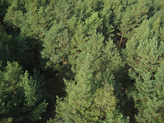Blick vom Aussichtsturm Löwendorfer Berg - Trebbin