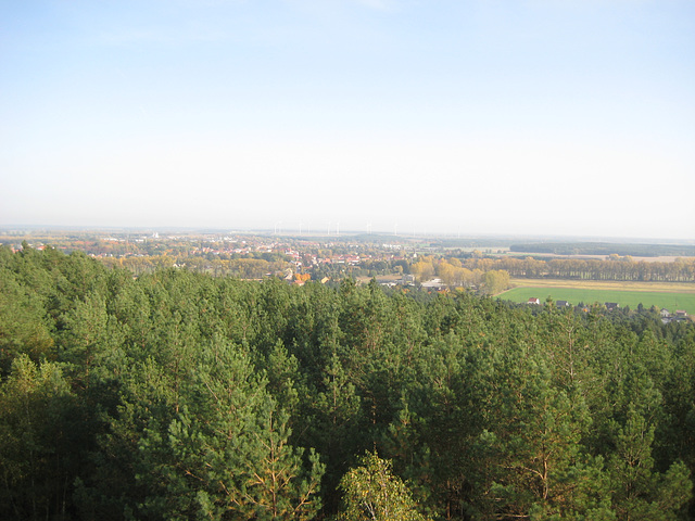 Trebbin - Blick vom Aussichtsturm Löwendorfer Berg