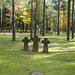 Halbe - Waldfriedhof