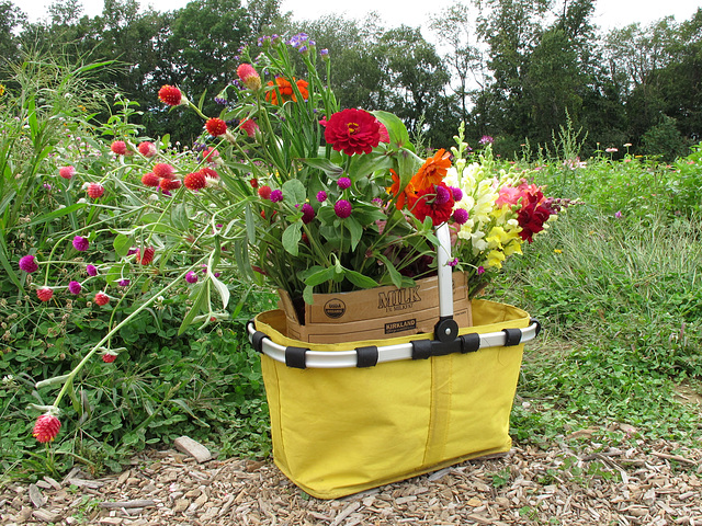 Basket of Flowers