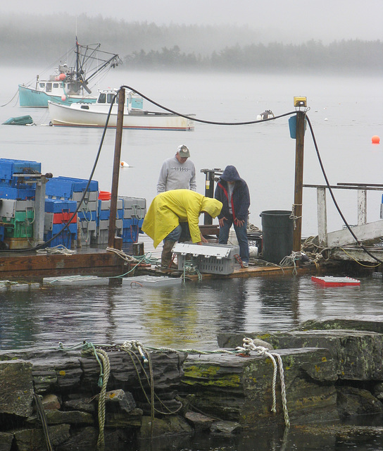 Buying lobsters in the rain