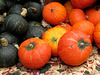 Winter Squash