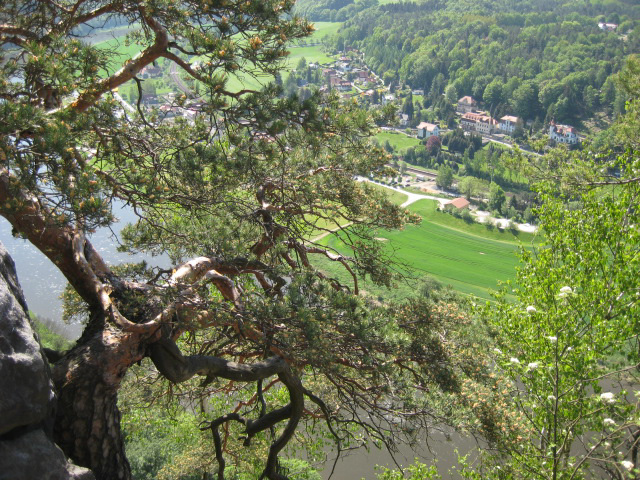 Blick von der Festung Königstein