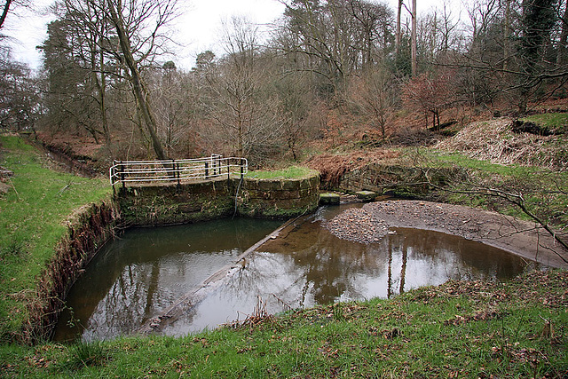 Canal Feeder