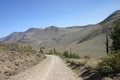 Road along the White Mountains, California