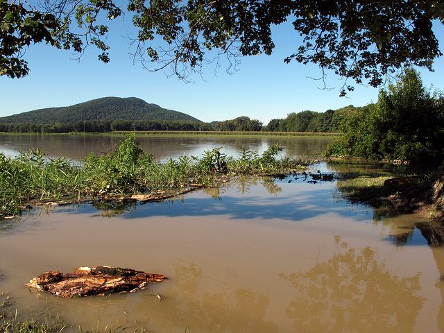 Flooded Fields of Hadley