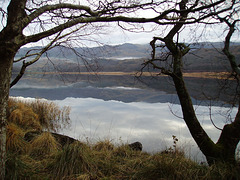 gbw - Llyn Dinas with trees