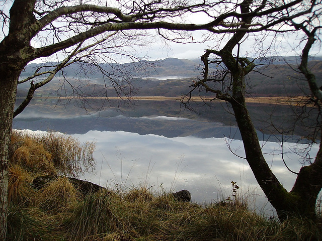 gbw - Llyn Dinas with trees