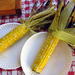 Freshly grilled corn-on-the-cob
