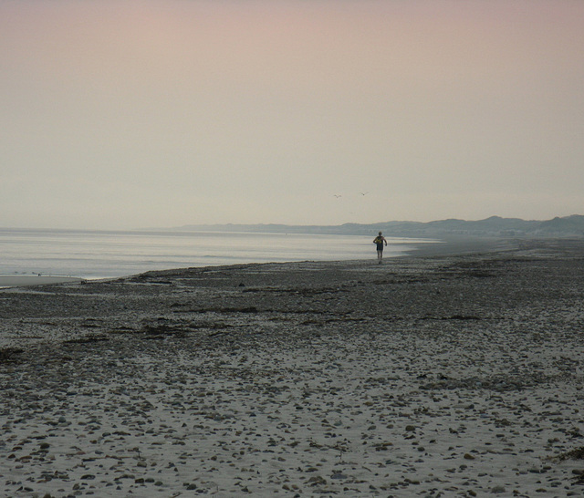 Beach walker