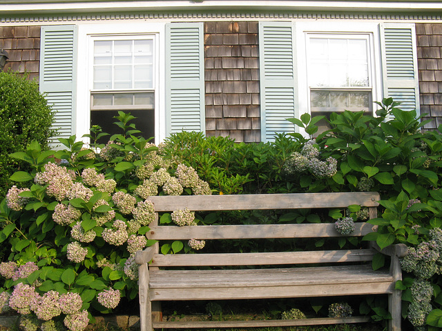 Bench, Cape Cod