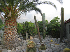 Grand Canaria - Gartengestaltung