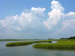 Estuary, Hammocks Beach