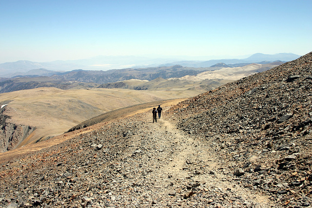 Trail to White Mountain Peak