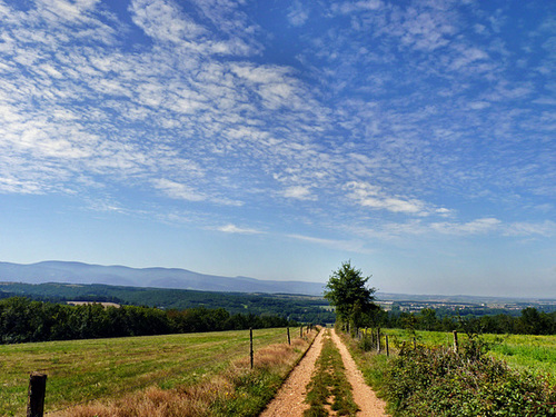 Approaching Castres