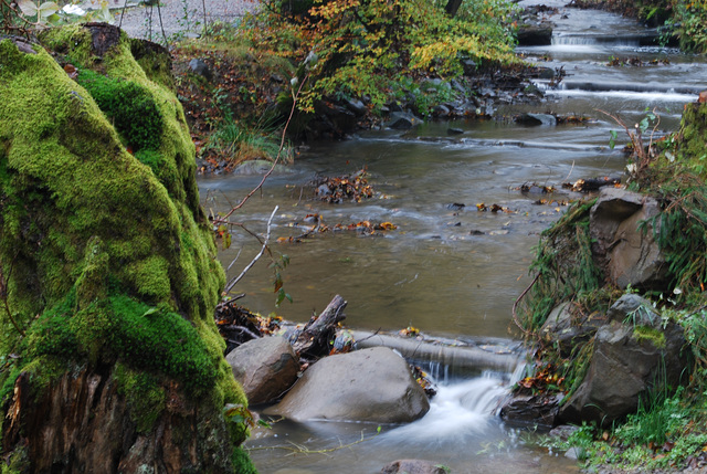 der Fluss in Karpaten