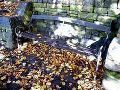 O&S - leafy bench