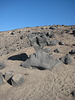 DV Canyons 46