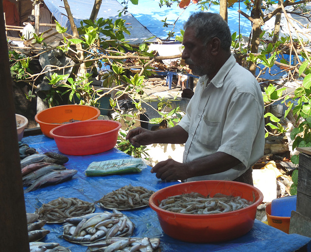 Cochin Fishmonger