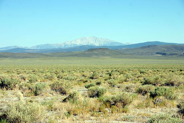 Boundary Peak