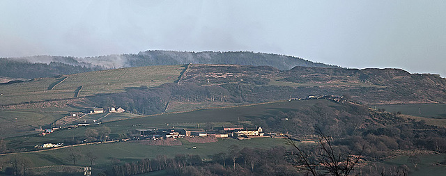 Tegg's Nose from the west