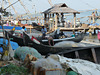 Busy Fishing Harbour