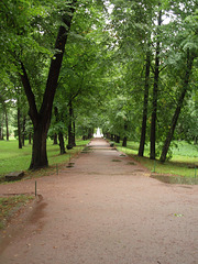 Peterhof -- Allee und Springbrunnen "Pyramide"